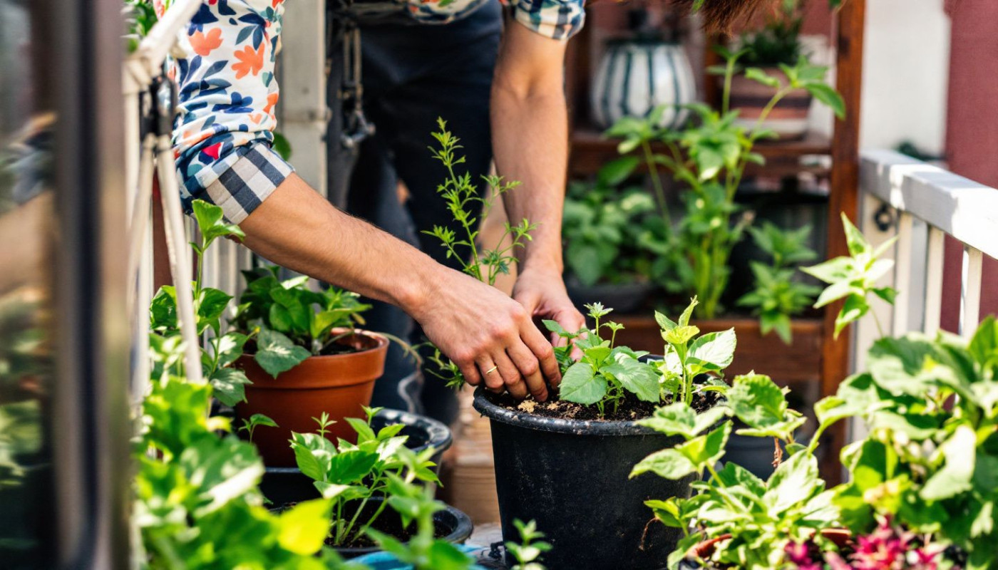 Comment transformer votre balcon en jardin écologique